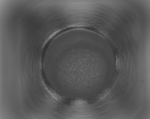 X0000061140348200511241810