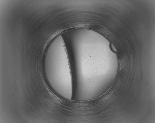 X0000061140349200511241810