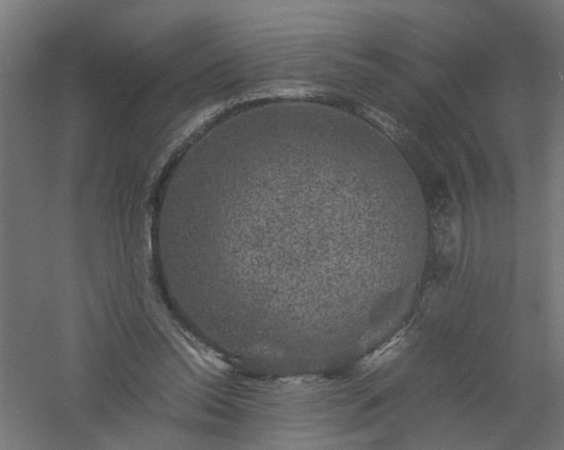 X0000061140350200511241810