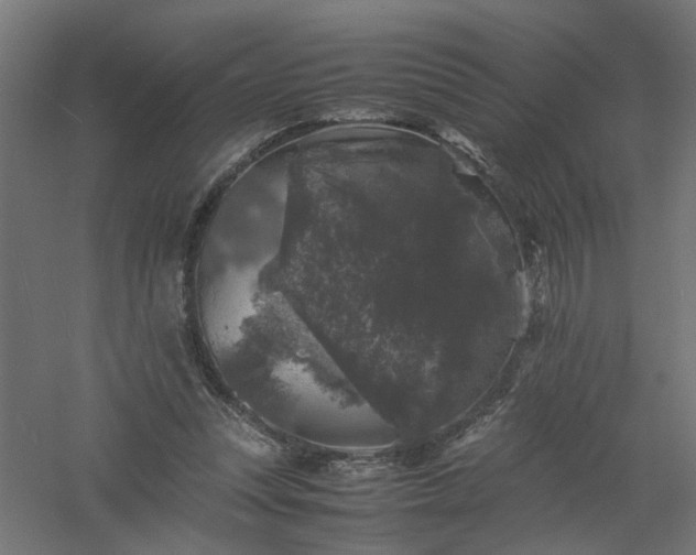 X0000061140351200511241810