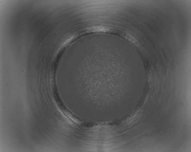 X0000061140352200511241810