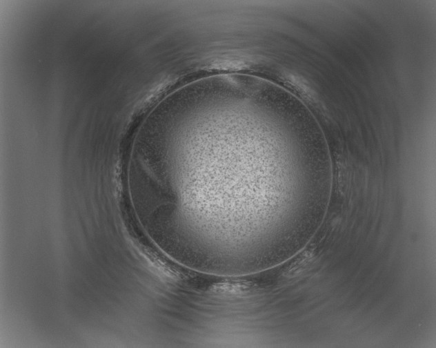 X0000061140354200511241810