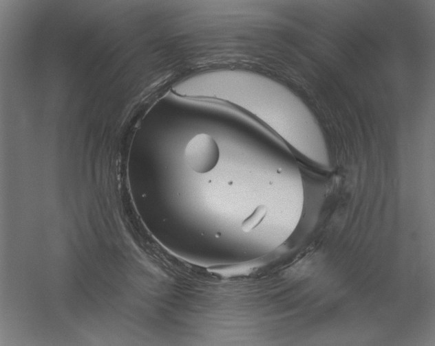 X0000061140356200511241810