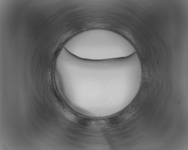 X0000061140357200511241810