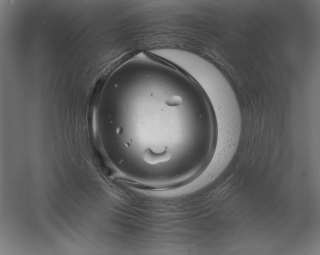 X0000061140359200511241810