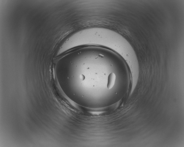 X0000061140360200511241810