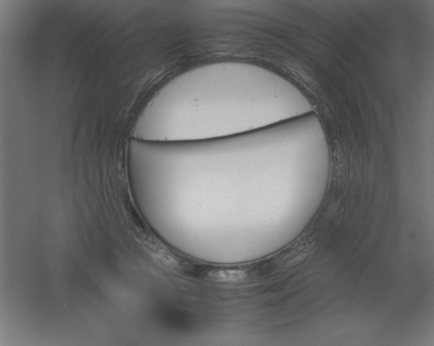 X0000061140361200511241810