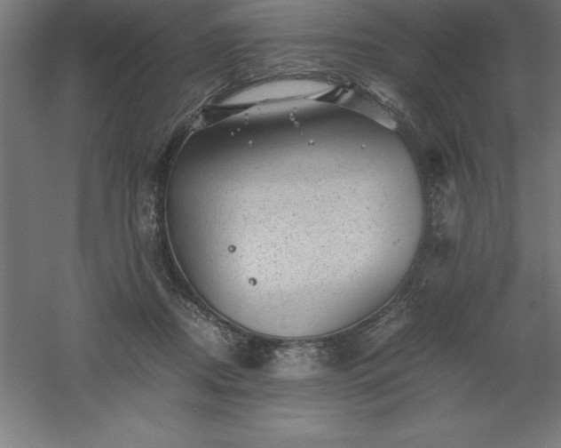 X0000061140362200511241810