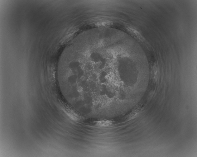 X0000061140363200511241810