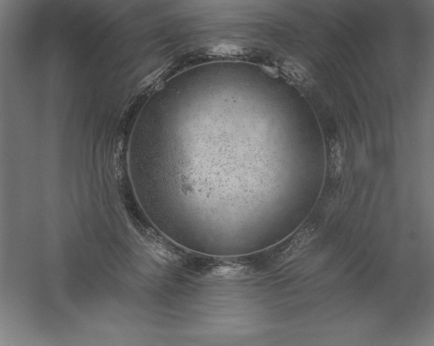 X0000061140364200511241810