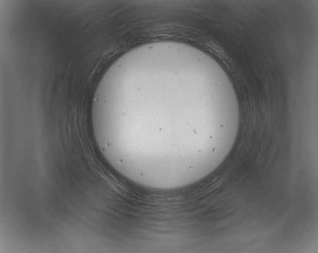 X0000061140365200511241810