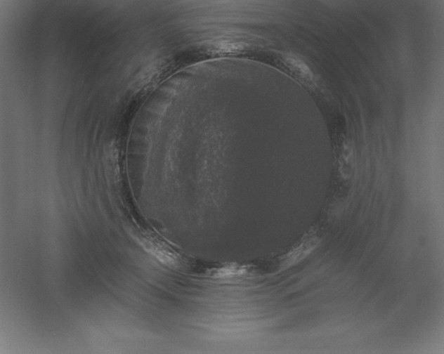 X0000061140366200511241810