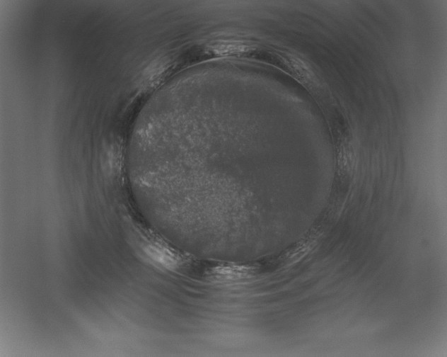 X0000061140367200511241810