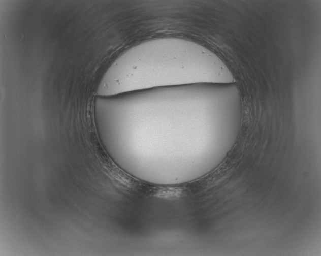 X0000061140369200511241810