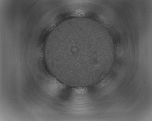 X0000061140370200511241810