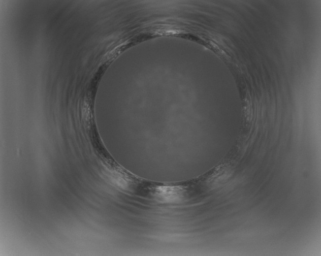 X0000061140371200511241810