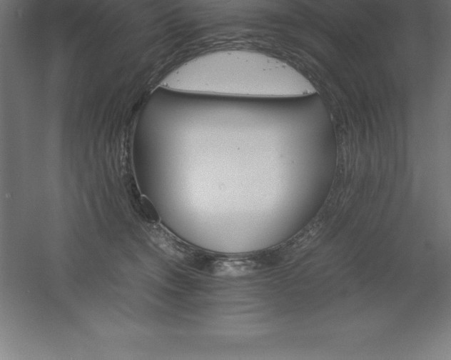 X0000061140372200511241810