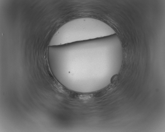 X0000061140373200511241810