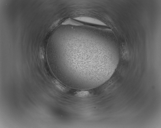 X0000061140374200511241810