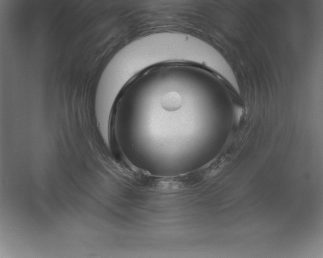 X0000061140376200511241810