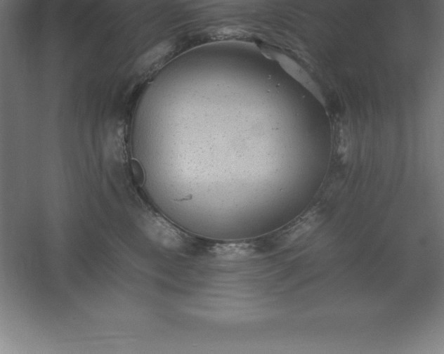 X0000061140378200511241810