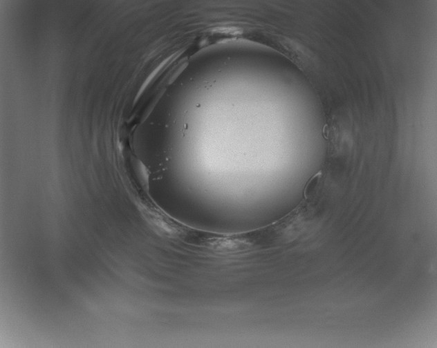 X0000061140379200511241810