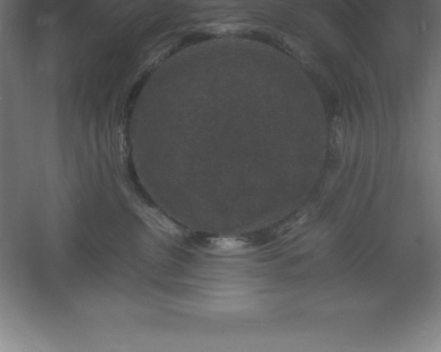 X0000061140380200511241810