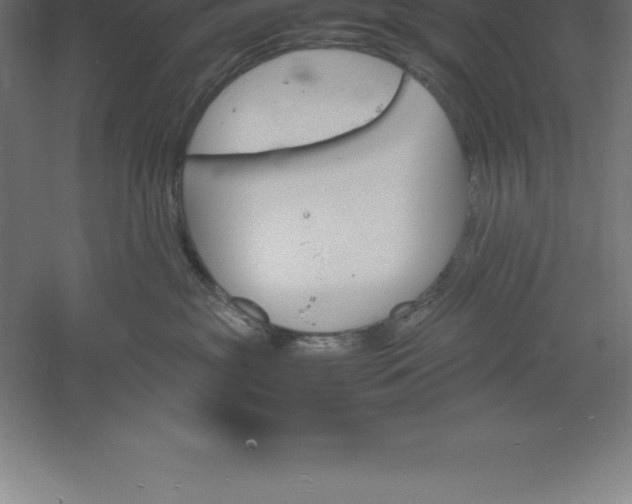 X0000061140381200511241810