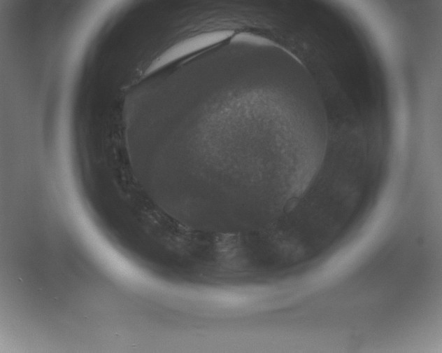 X0000061140382200511241810