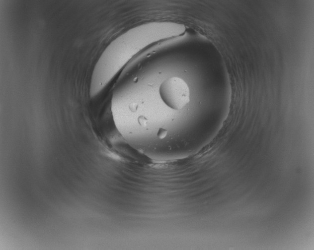 X0000061140383200511241810