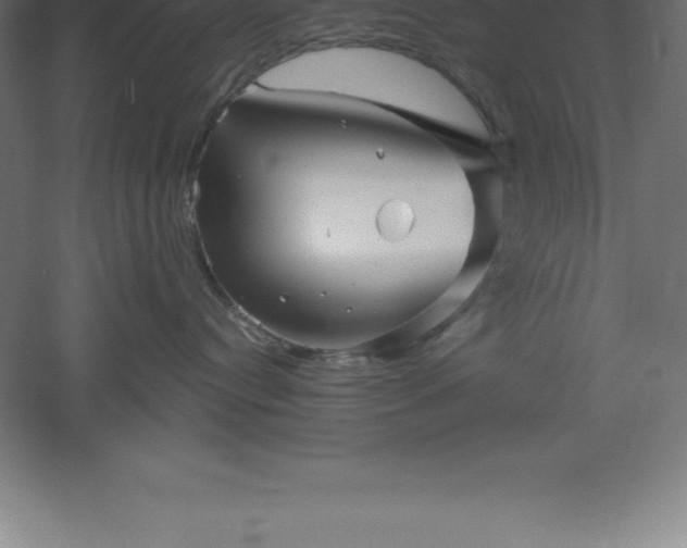 X0000061140384200511241810