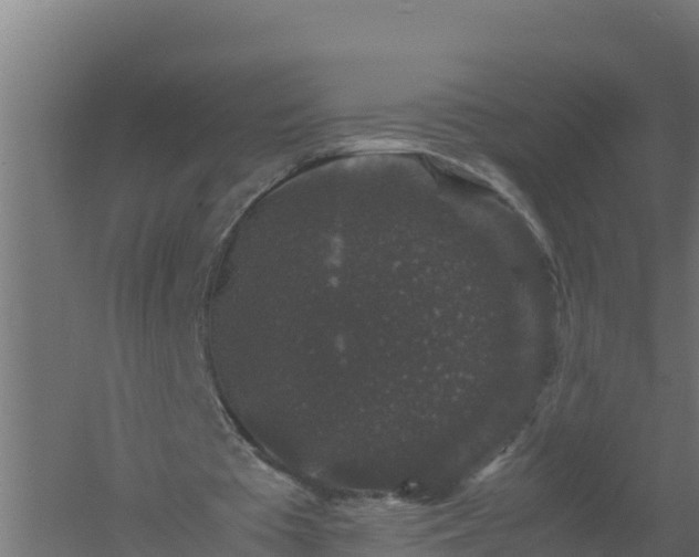 X0000061140385200511241810