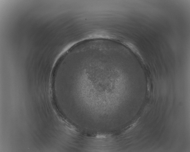 X0000061140388200511241810