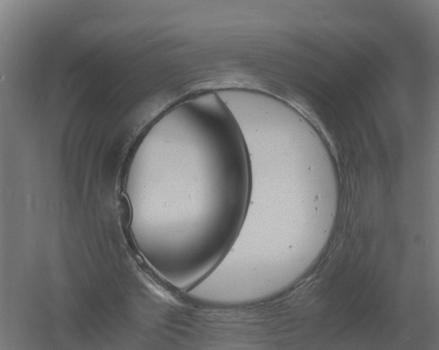 X0000061140389200511241810