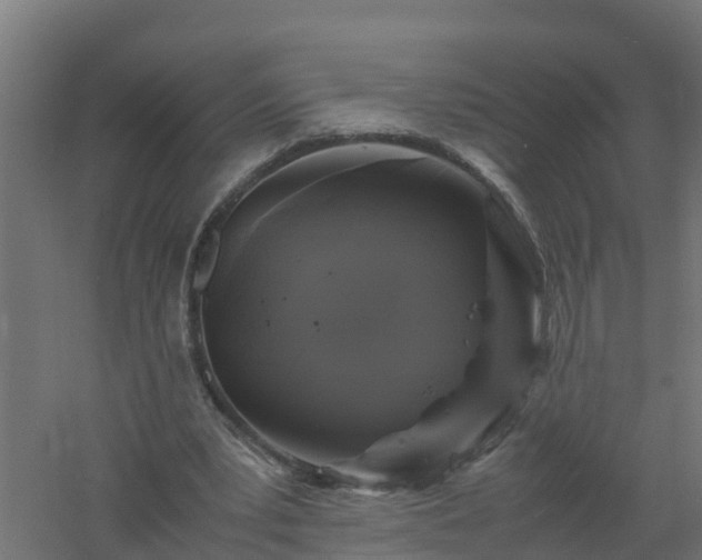 X0000061140391200511241810