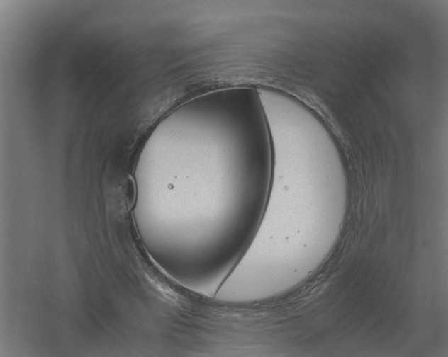 X0000061140393200511241809