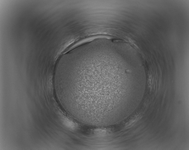 X0000061140394200511241809