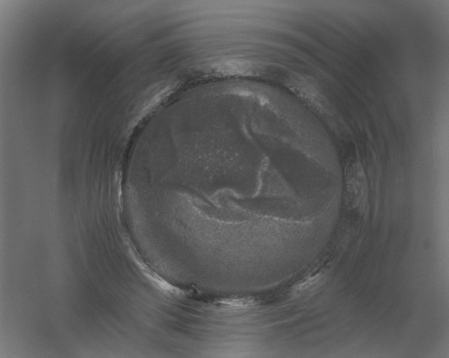 X0000061140398200511241809