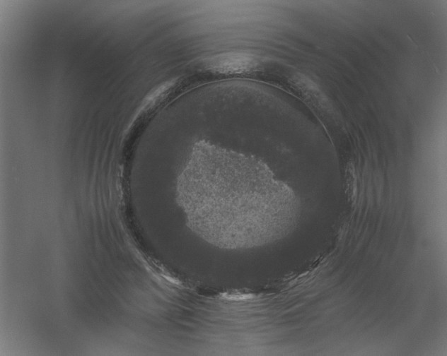 X0000061140400200511241809