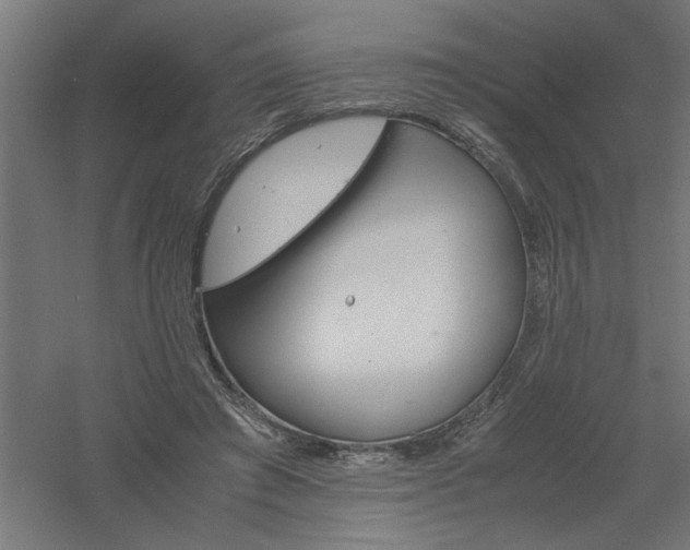 X0000061140401200511241809