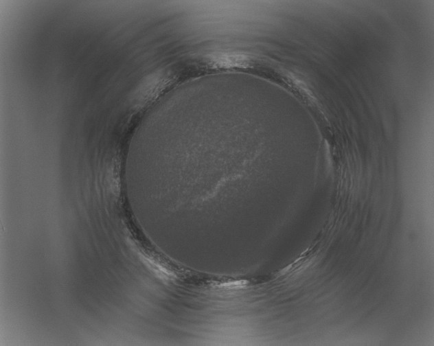 X0000061140402200511241809