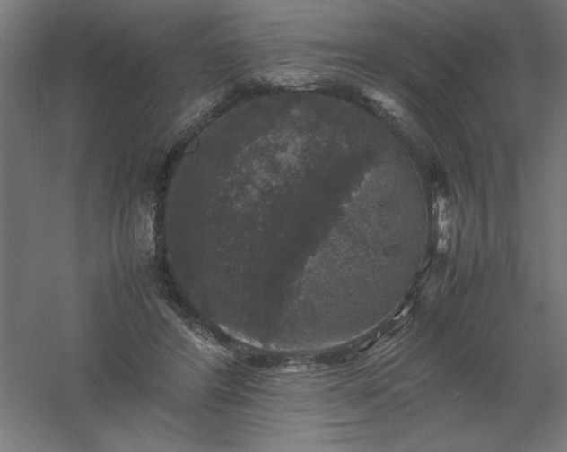 X0000061140404200511241809