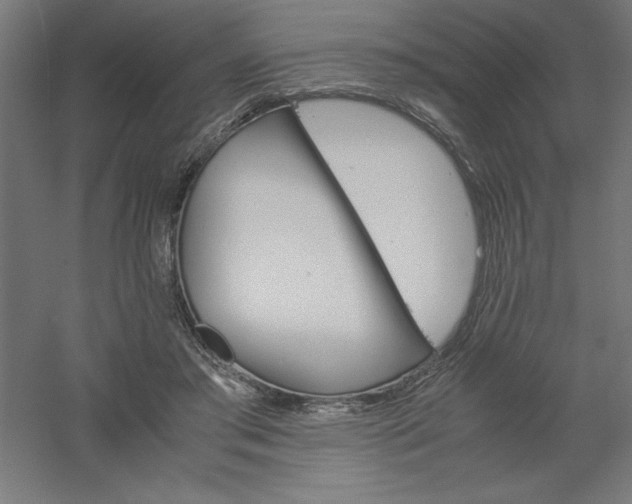 X0000061140405200511241809