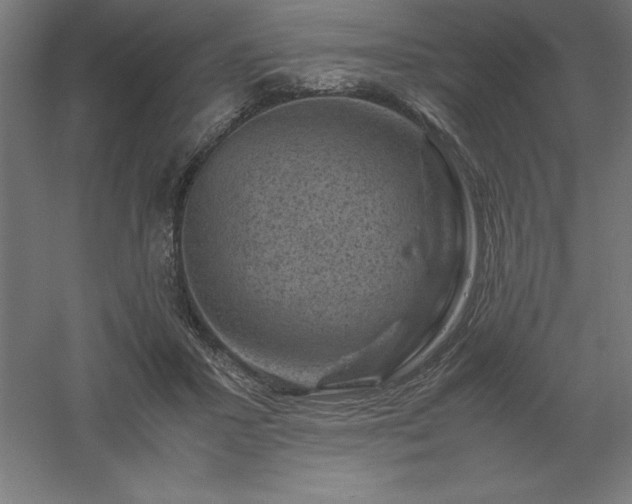 X0000061140407200511241809