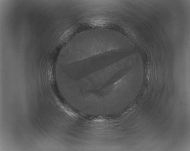 X0000061140408200511241809