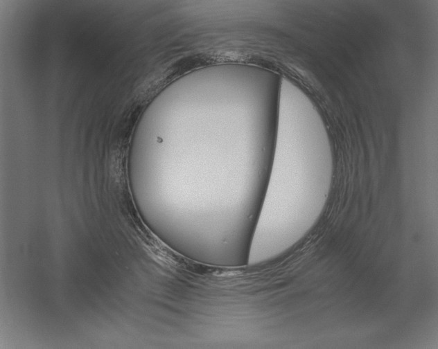 X0000061140409200511241809