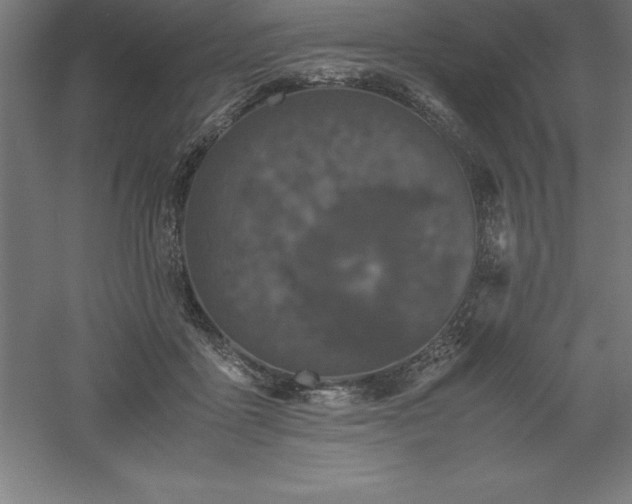 X0000061140411200511241809