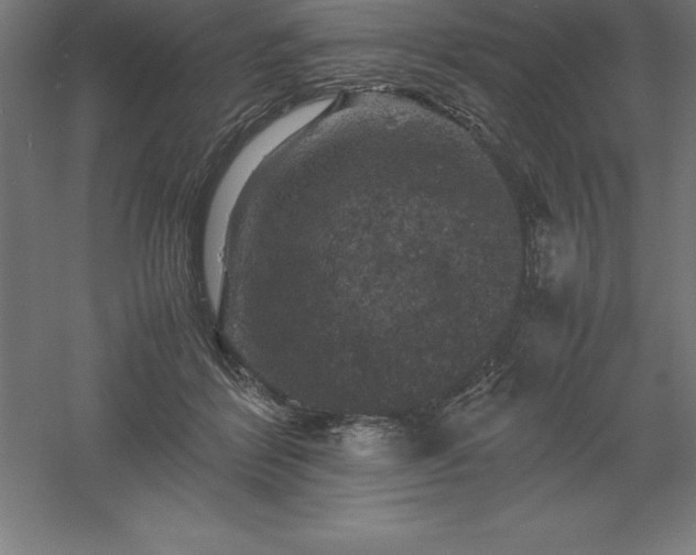 X0000061140412200511241809