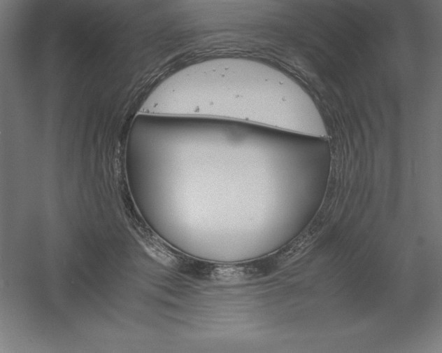 X0000061140413200511241809