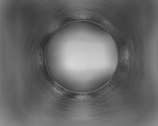 X0000061140414200511241809